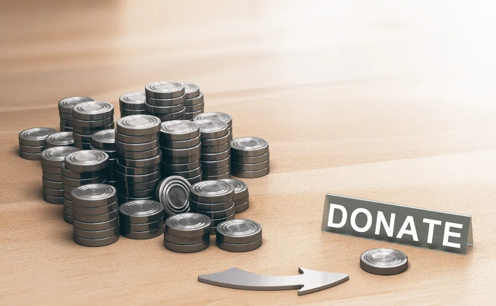 Not for profit organisation advantages and disadvantages